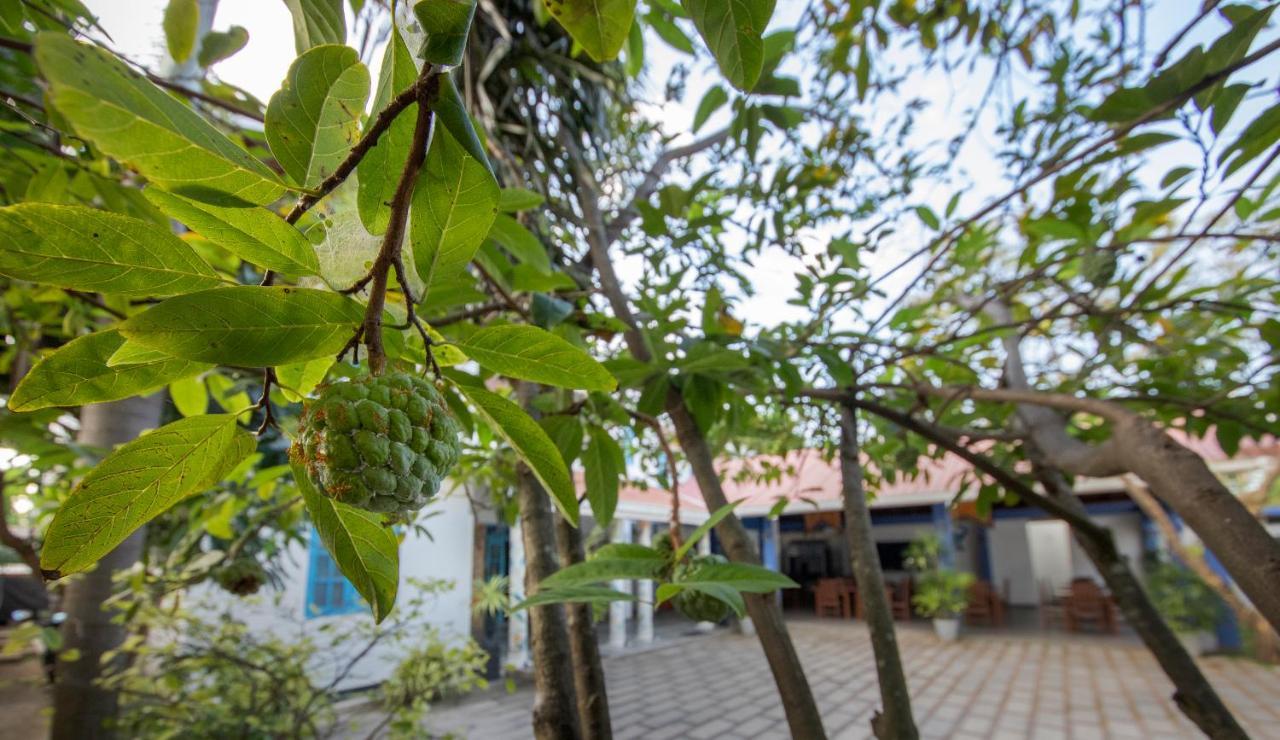 Blue Elephant Boutique Hotel Negombo Exterior foto
